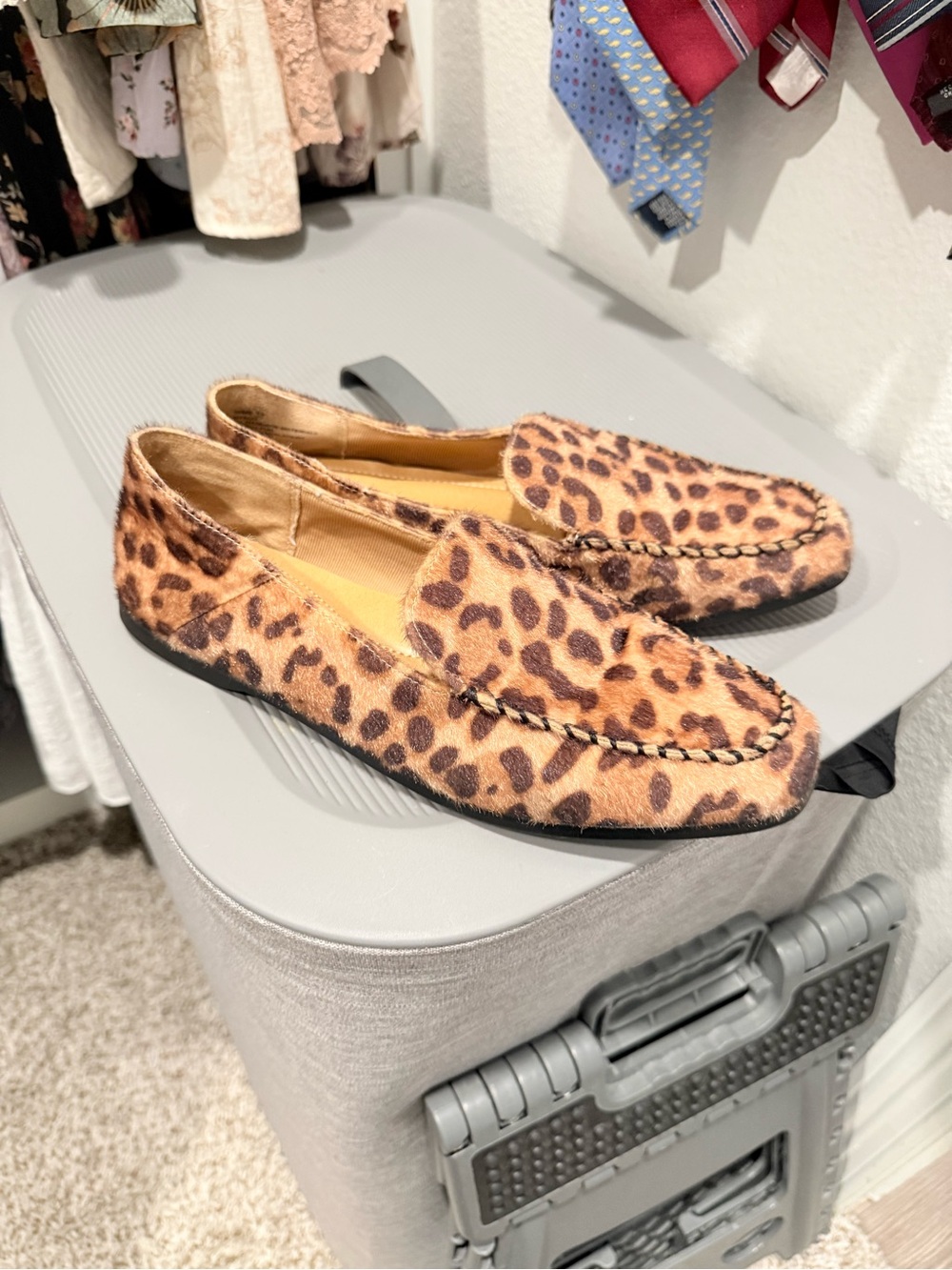 Dolce Vita Leopard Print Suede Loafers